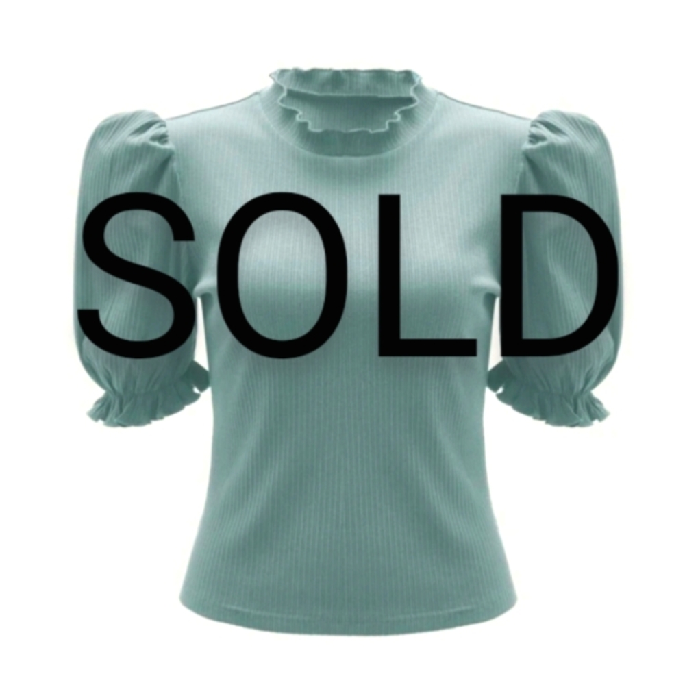 SHEIN Puff Sleeve Ribbed Top